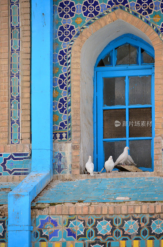 窗户与波斯瓷砖(Qashani)和白鸽-阿里的神社(Hazrat Ali Mazar)，马扎里沙里夫，巴尔赫省，阿富汗